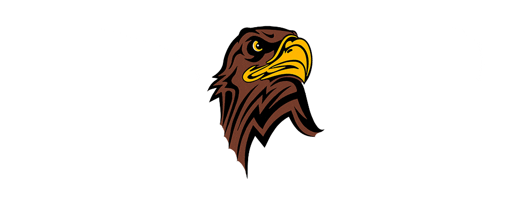 Lewistown Public Schools case study logo